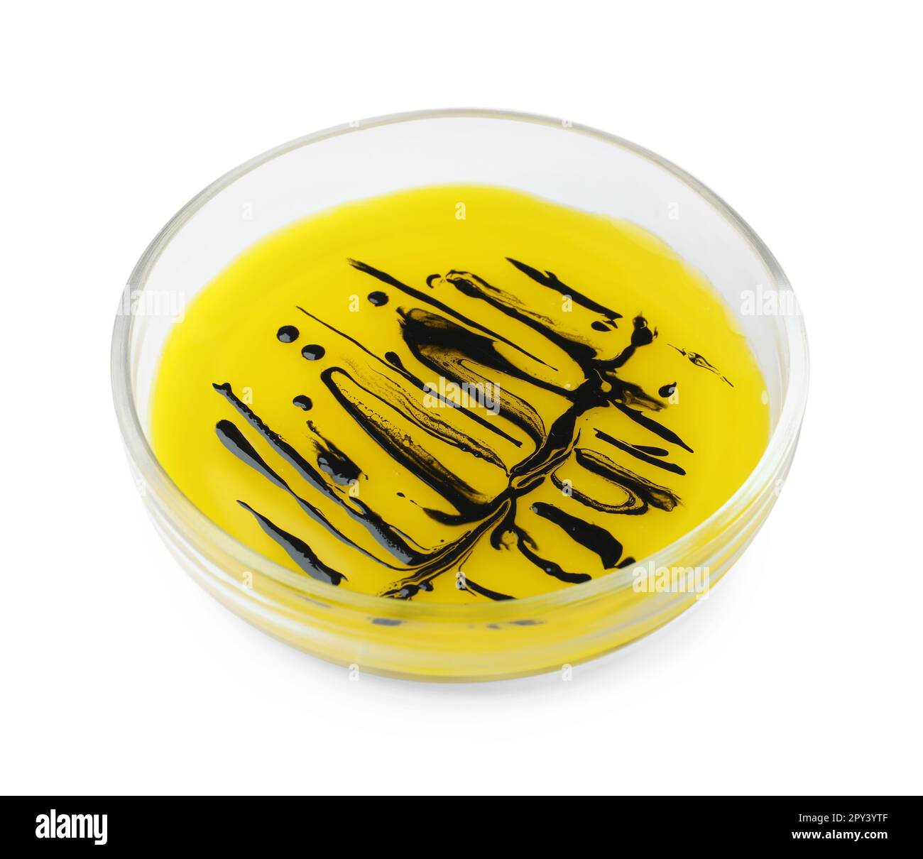 Boîte de Pétri avec colonie de bactéries isolée sur blanc Banque D'Images