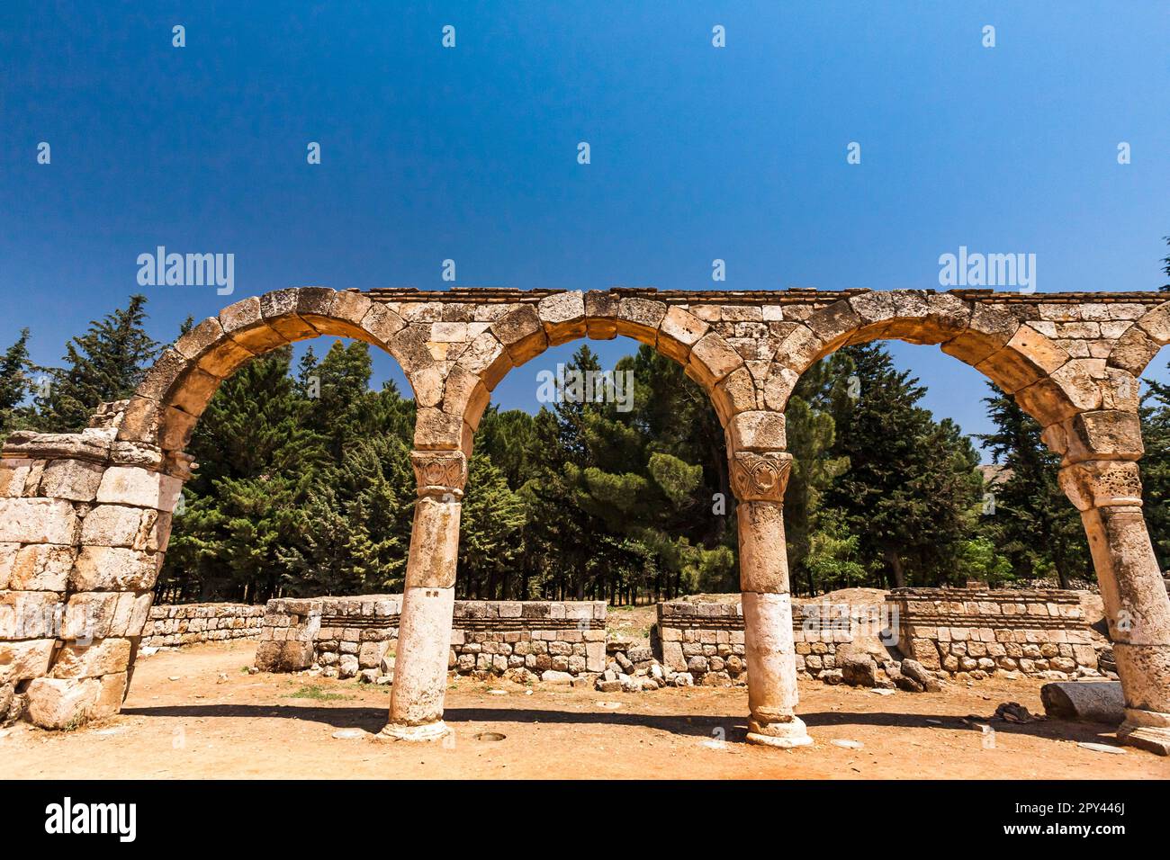 Ruines d'Anjar, ancien palais-ville d'Umayyad, par Caliph Walid I, 8th siècle, vallée de la Bekaa, Anjar, gouvernorat de Beqaa(bekaa), Liban, Moyen-Orient, Asie Banque D'Images