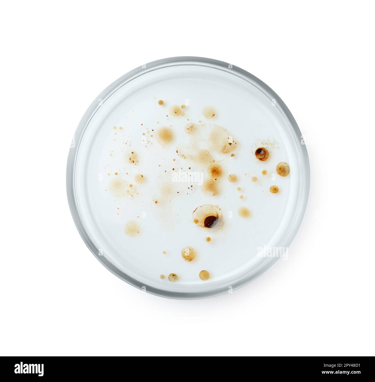 Boîte de Pétri avec colonie de bactéries isolée sur blanc, vue de dessus Banque D'Images