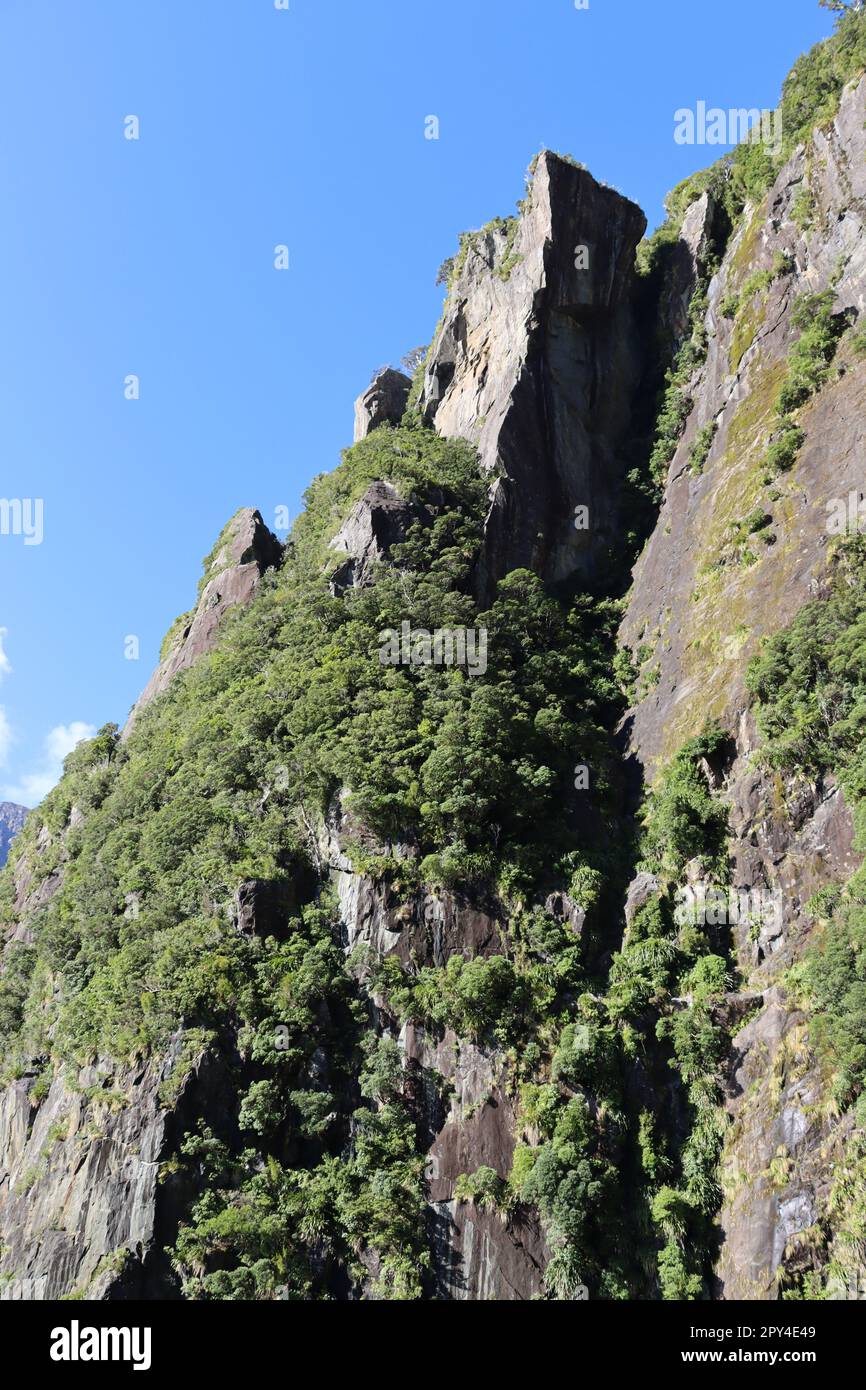 Milford Sound, Nouvelle Zélande Banque D'Images