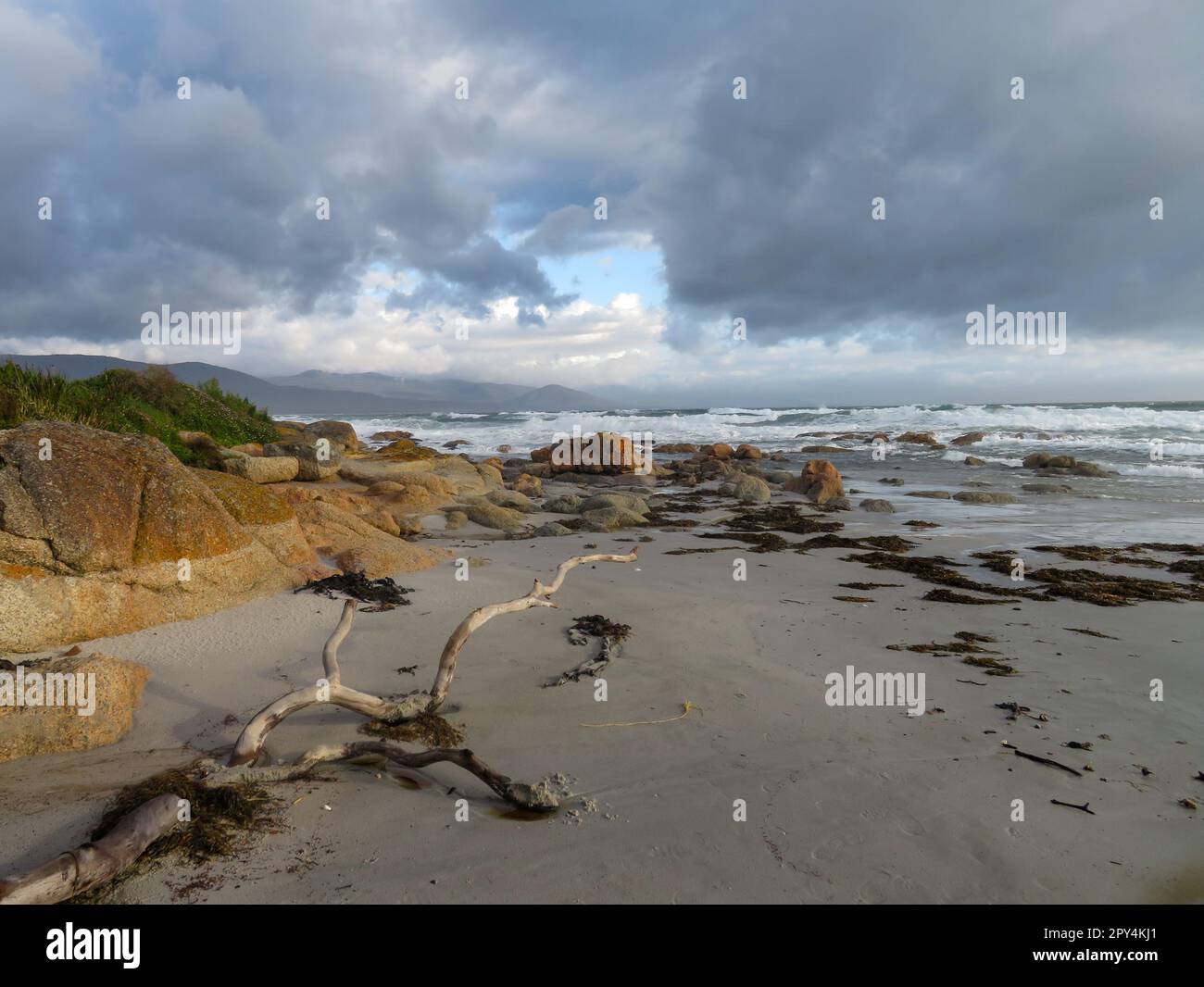 Bicheno, Tasmanie, Australie Banque D'Images