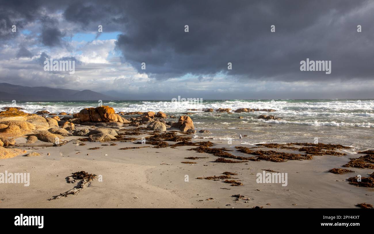 Bicheno, Tasmanie, Australie Banque D'Images