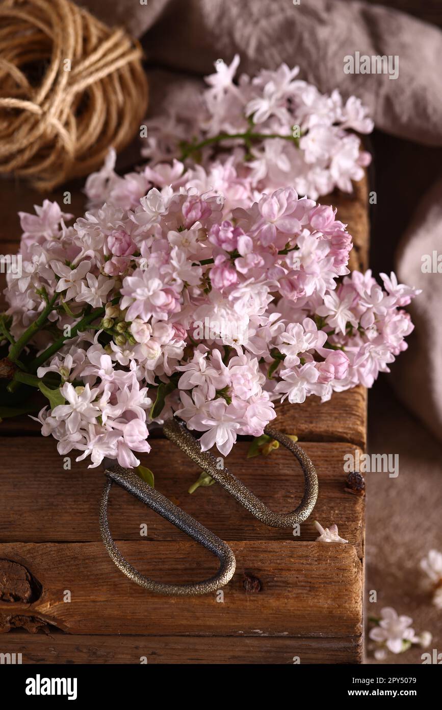 encore la vie avec un bouquet de lilas pour la décoration Banque D'Images