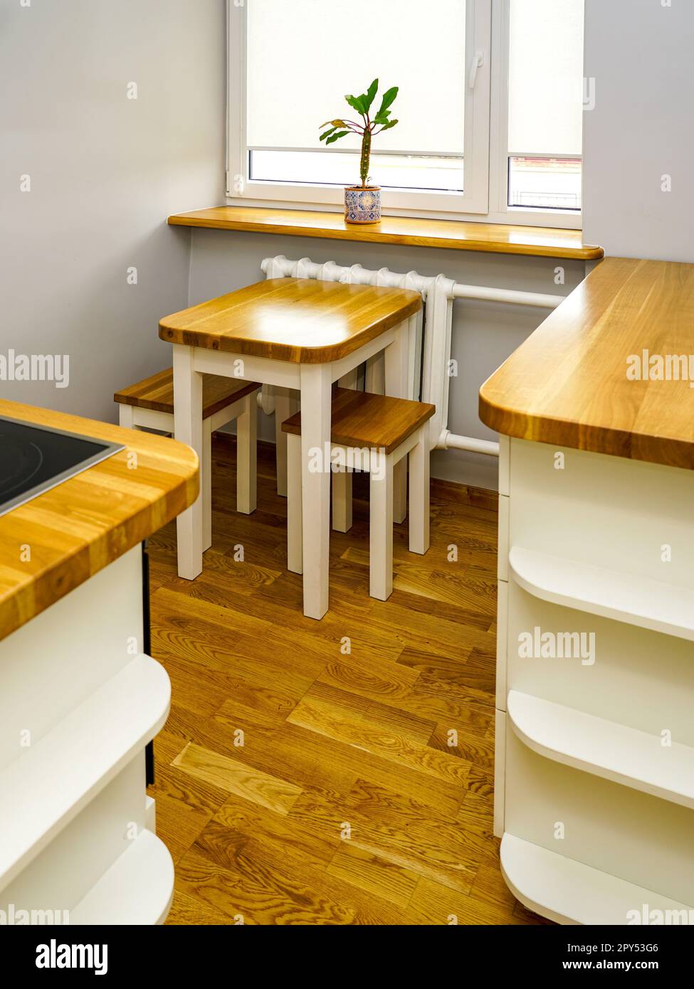 Très petite et confortable salle de cuisine avec plancher en bois naturel, seuil de fenêtre et surfaces de meubles, étagères blanches Banque D'Images