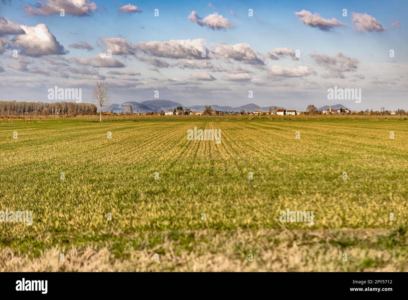 Panorama rural de la vallée du po Banque D'Images