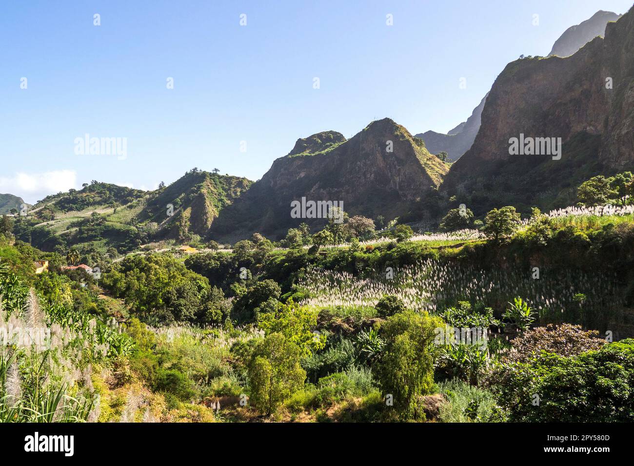 Cap-Vert, Santo Antao - Vallée de Paul Banque D'Images