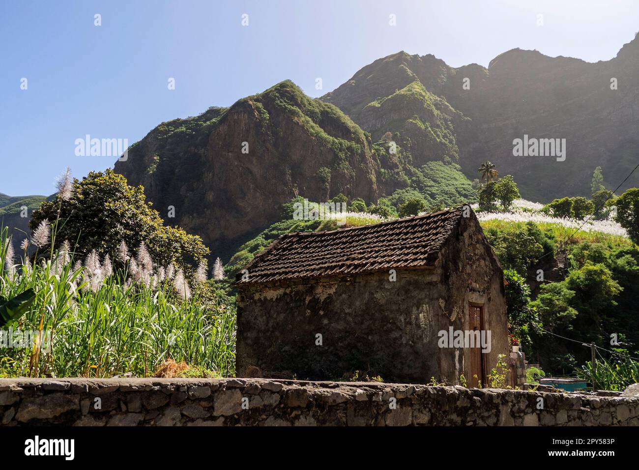 Cap-Vert, Santo Antao - Vallée de Paul Banque D'Images