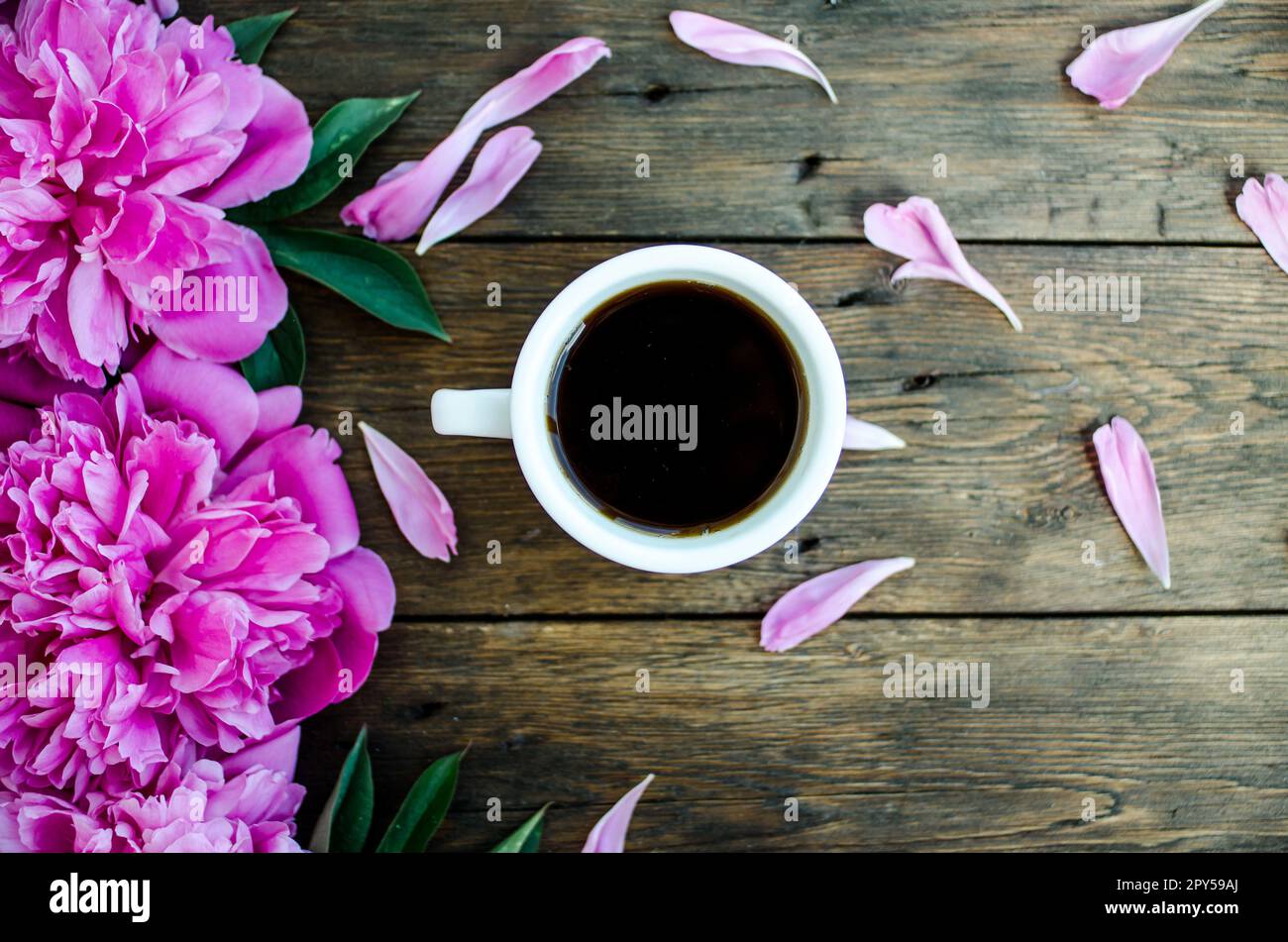Café de printemps le matin et fleurs de pivoine sur fond de bois. Banque D'Images