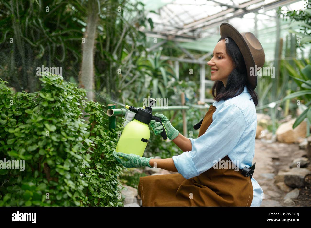 Jeune femme jardinier soin des plantes traitant les fleurs avec des produits chimiques Banque D'Images