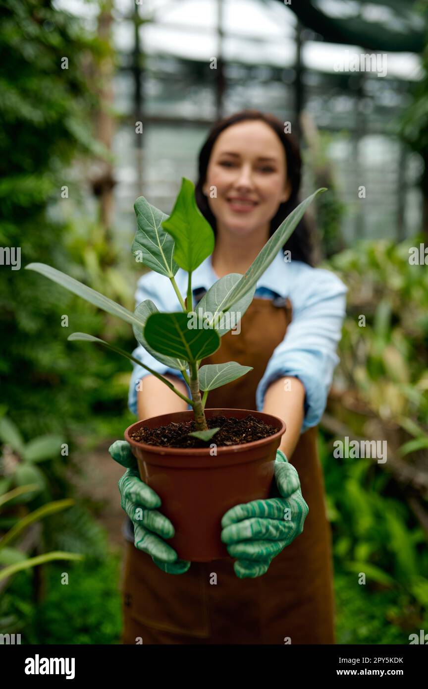 Portrait de jeune femme jardinier tenant une plante en pot Banque D'Images