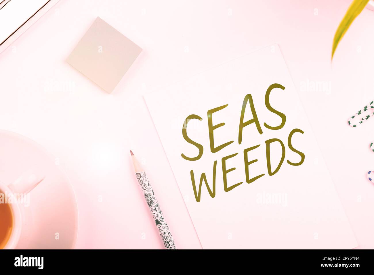 Légende conceptuelle mauvaises herbes marines. Mot pour les grandes algues qui poussent dans la mer ou l'océan flore des plantes marines Banque D'Images