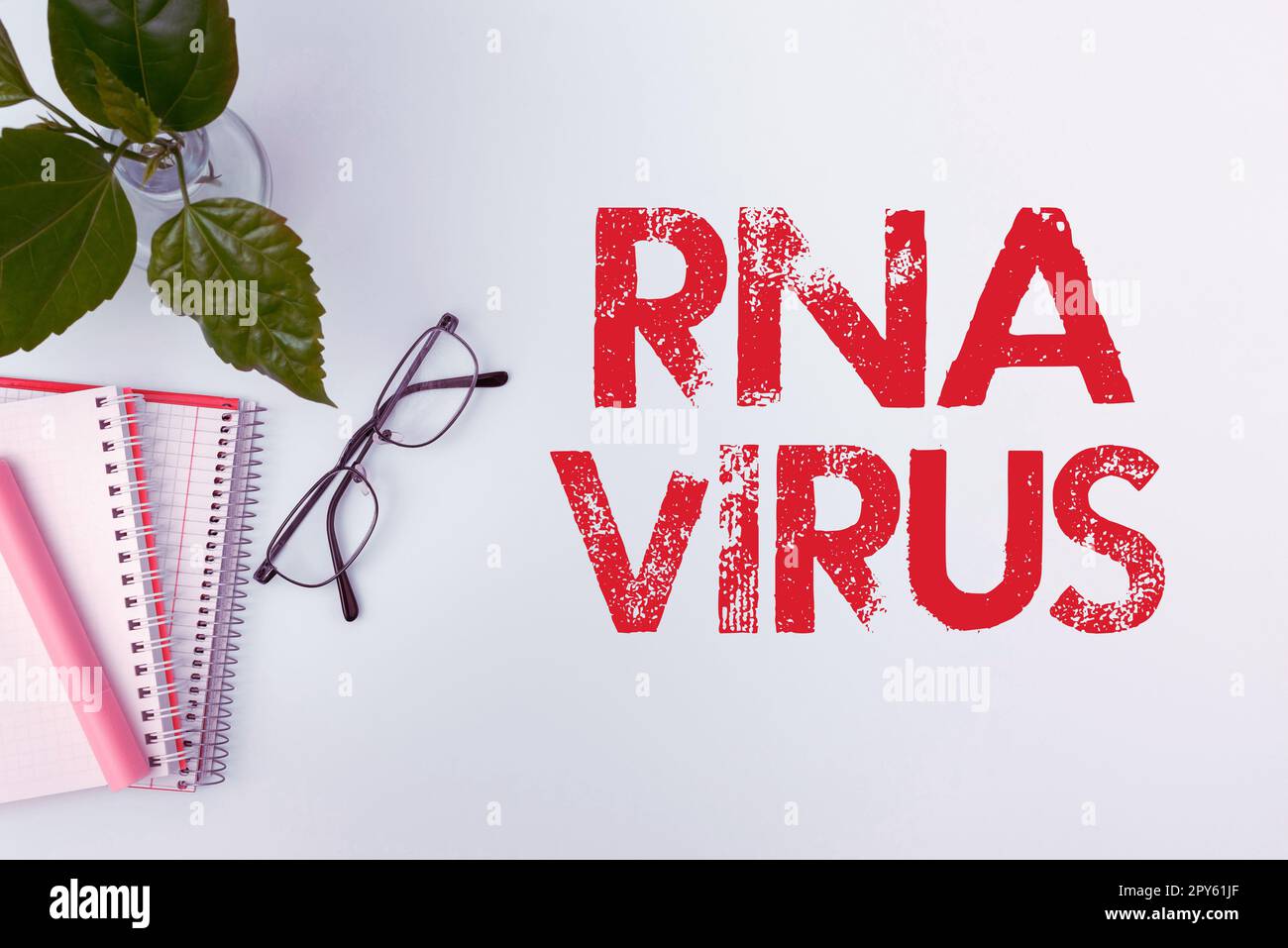 Affichage conceptuel virus ARN. Vitrine d'affaires une information génétique de virus est stockée sous forme d'ARN Banque D'Images