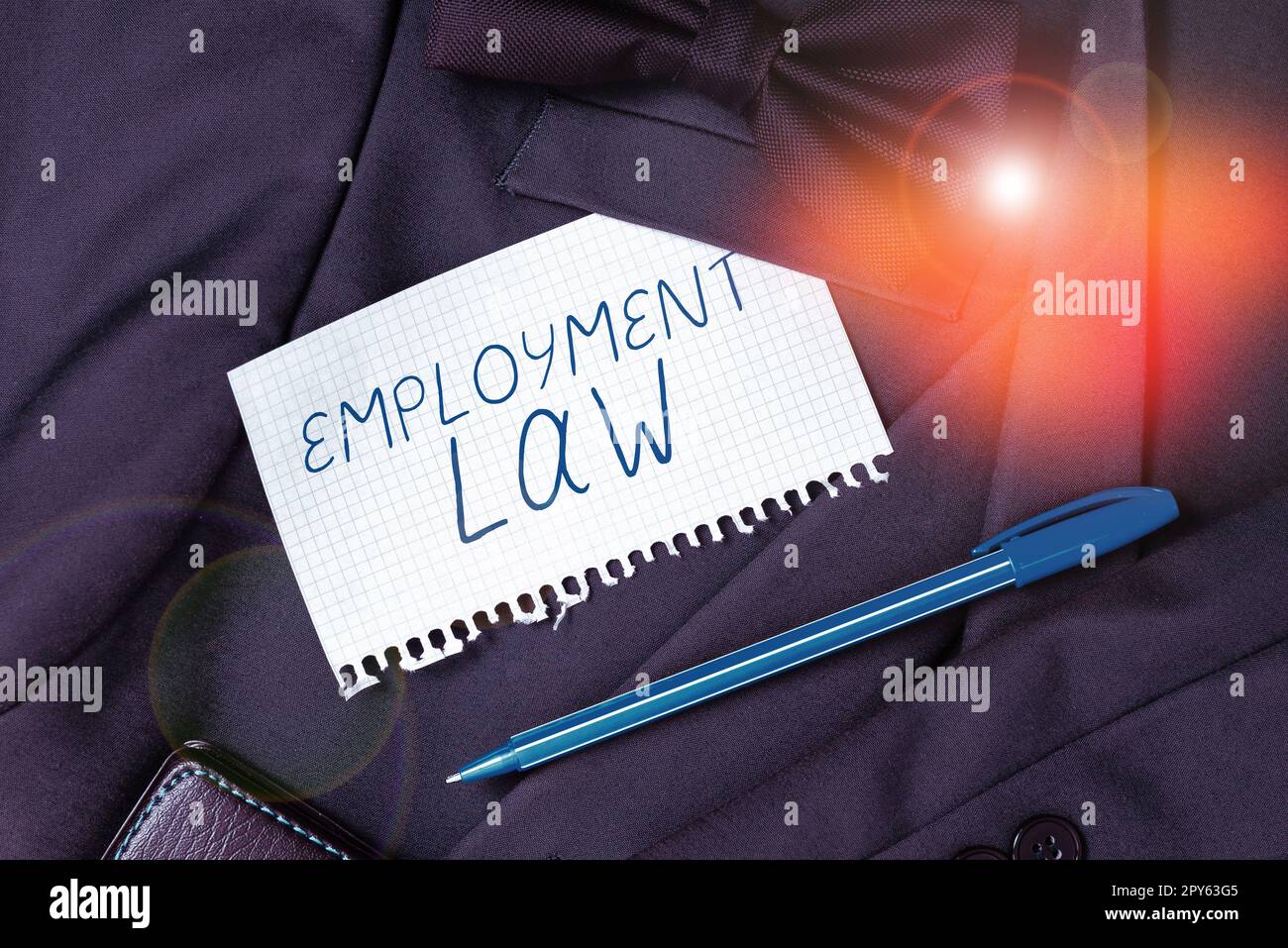 Affichage conceptuel droit de l'emploi. La vitrine commerciale traite des droits et devoirs juridiques des employeurs et des employés Banque D'Images