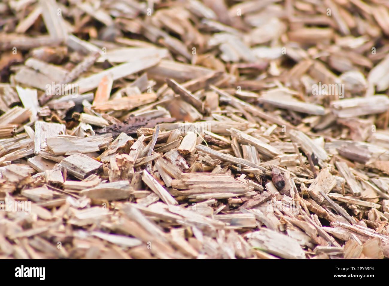 Beaucoup de copeaux de bois comme arrière-plan en bois en gros plan montre les ressources renouvelables et les matériaux durables avec des copeaux de bois et des coupes de bois recyclage pour les terrains de jeux et les matériaux de chauffage de pastilles Banque D'Images