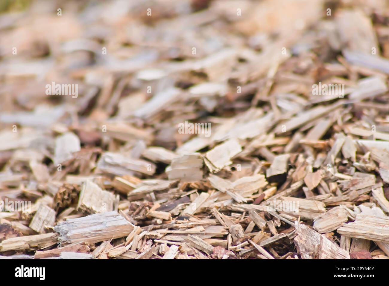Beaucoup de copeaux de bois comme arrière-plan en bois en gros plan montre les ressources renouvelables et les matériaux durables avec des copeaux de bois et des coupes de bois recyclage pour les terrains de jeux et les matériaux de chauffage de pastilles Banque D'Images