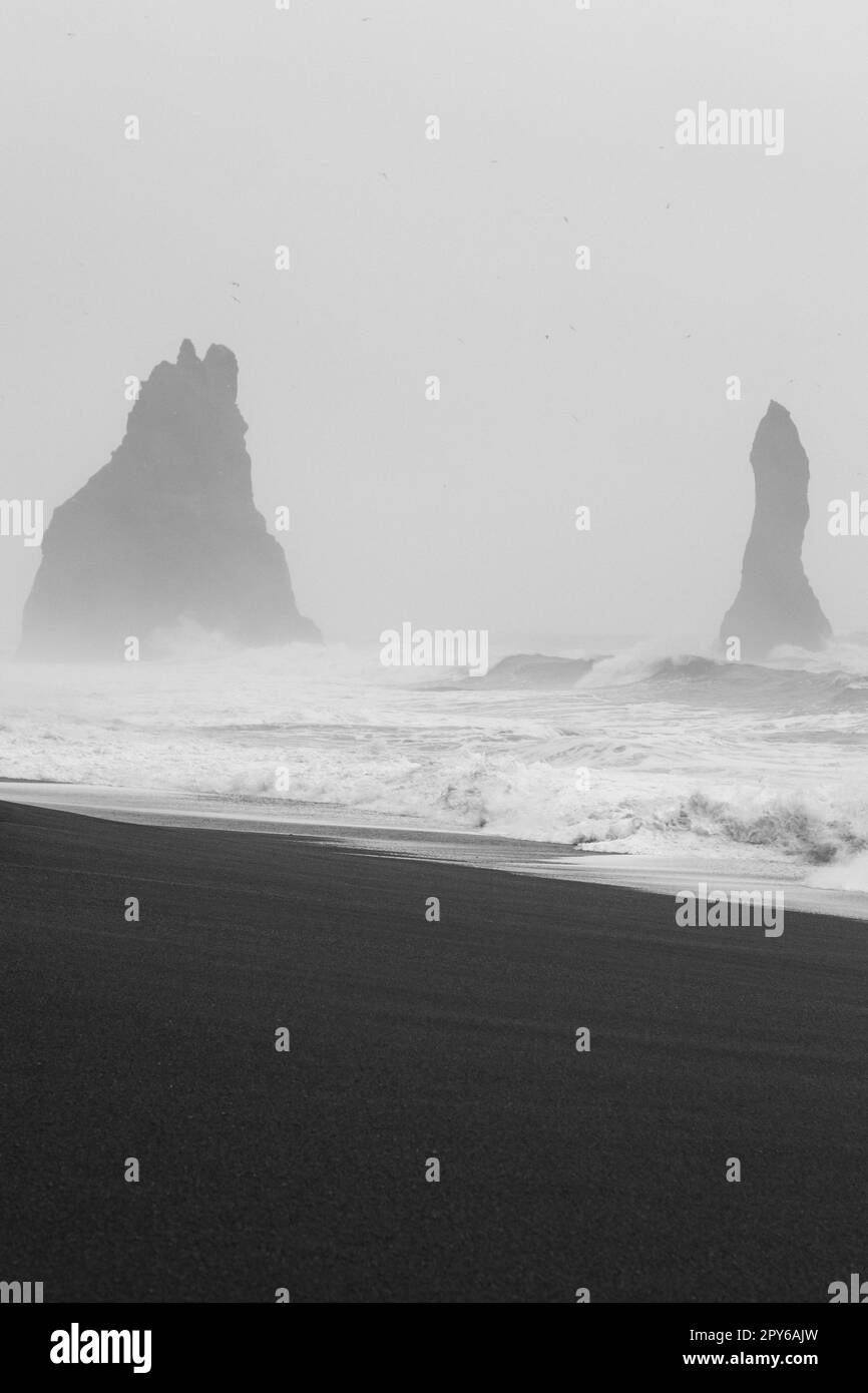 Misty Reynisfjara plage monochrome paysage photo Banque D'Images
