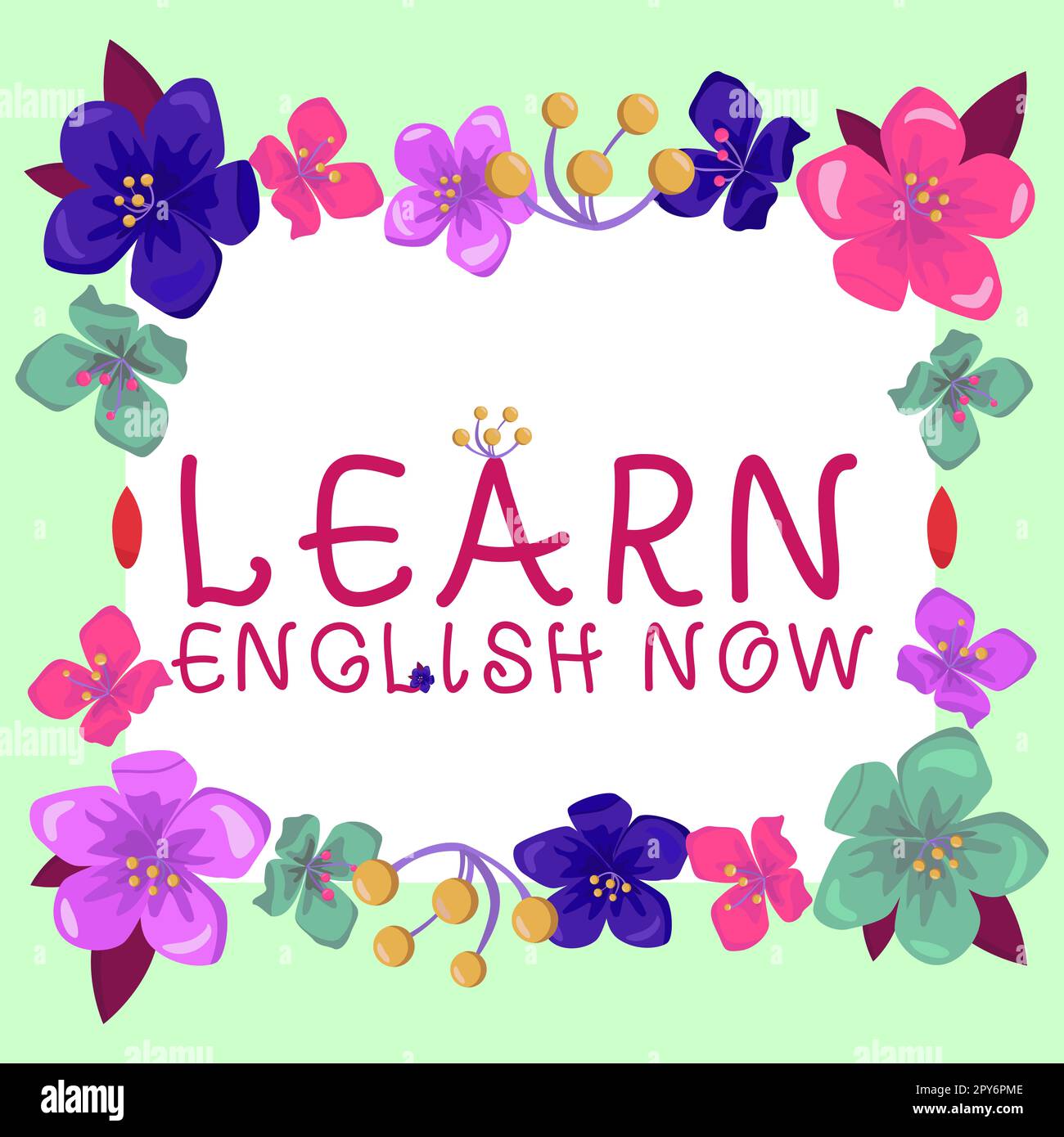 Légende de texte présentant apprendre l'anglais maintenant. Approche commerciale acquérir ou acquérir des connaissances et des compétences en anglais Banque D'Images