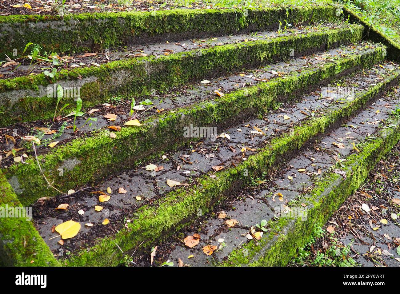 Escalier extérieur couvert de mousse, de moisissure et d'autres plantes. Banja Koviljaca, Loznica, Serbie. Ruines d'un bâtiment. Banque D'Images