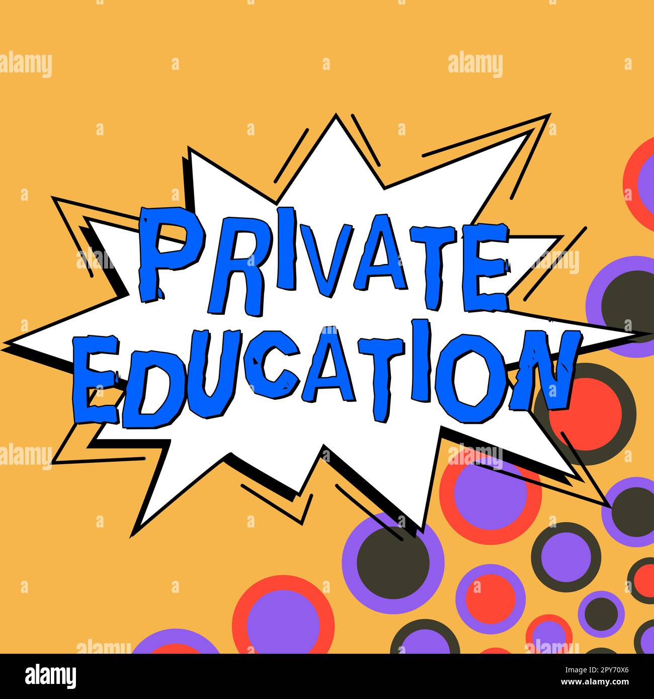 Affiche textuelle indiquant l'éducation privée. Photo conceptuelle appartenant à une personne ou à un groupe particulier Banque D'Images