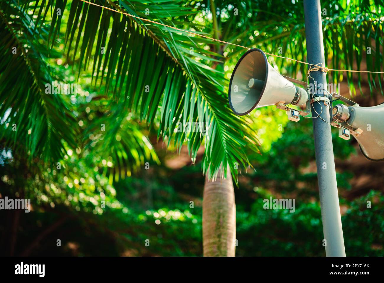 Haut-parleur sur un poteau contre le fond des arbres tropicaux. Banque D'Images