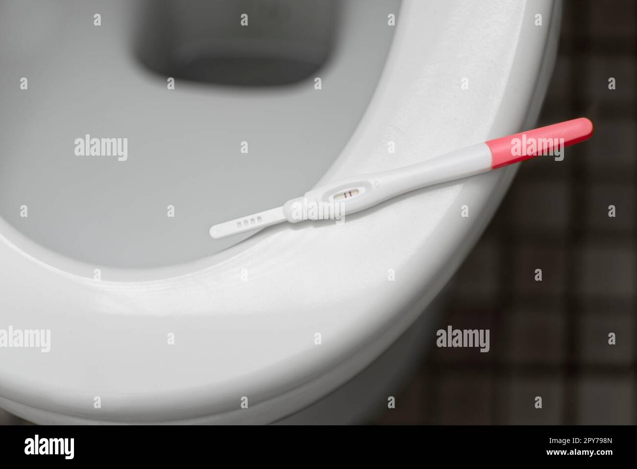 Le bâton de test de grossesse se trouve sur le bol des toilettes. Banque D'Images