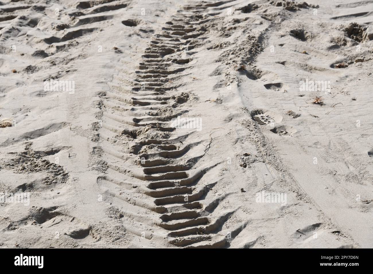 Traces, dans le sable, province d'Alicante, Costa Blanca, Espagne, Février 2023 Banque D'Images