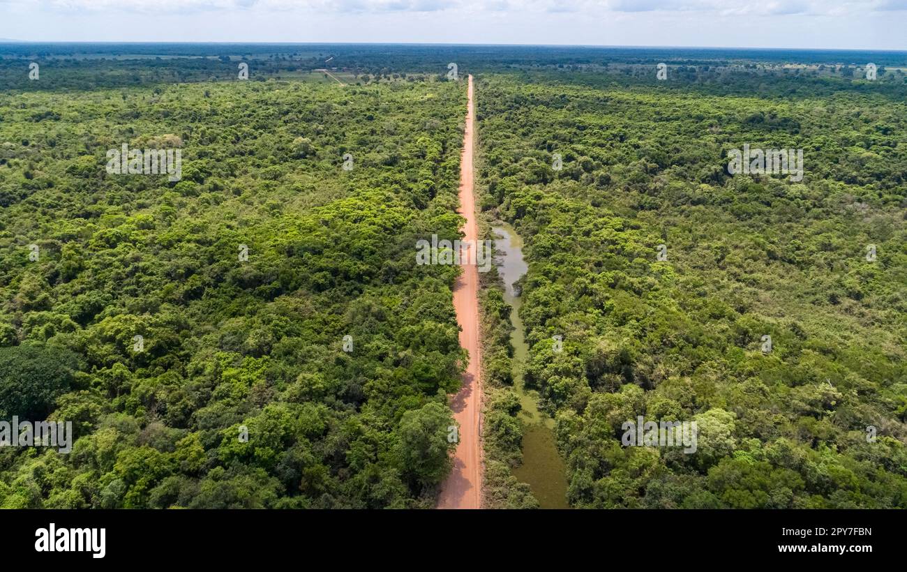Vue aérienne de la route de terre de Transpantaneira traversant tout droit les terres humides du Pantanal Nord, Mato Grosso, Brésil Banque D'Images