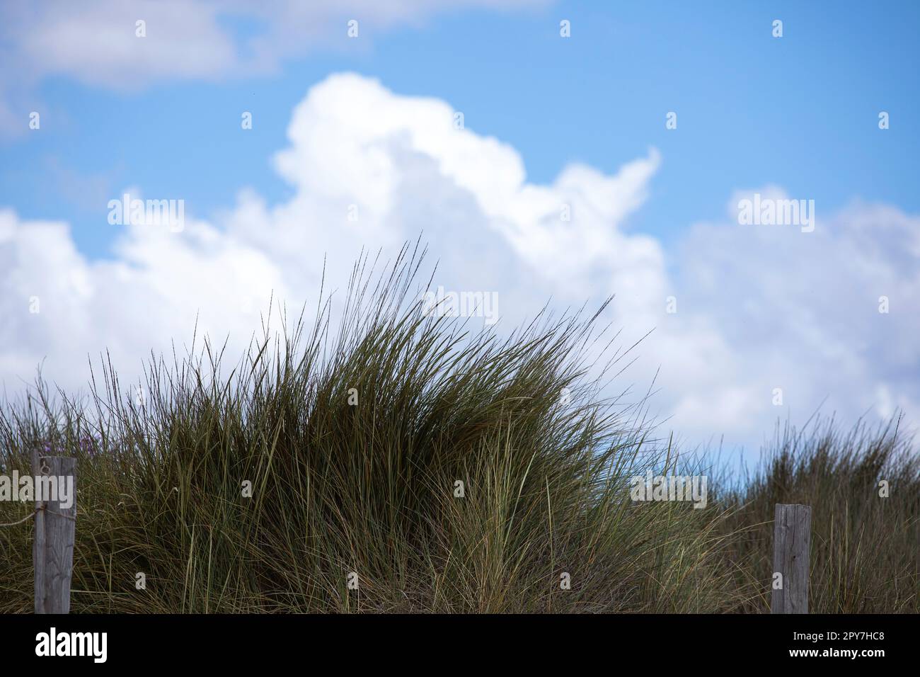 esthétique, atmosphère, arrière-plan, plage, belle, beauté, beauté dans la nature, bleu, ciel bleu, climat, nuage, nuages, nuage, ciel nuageux, côte, coa Banque D'Images