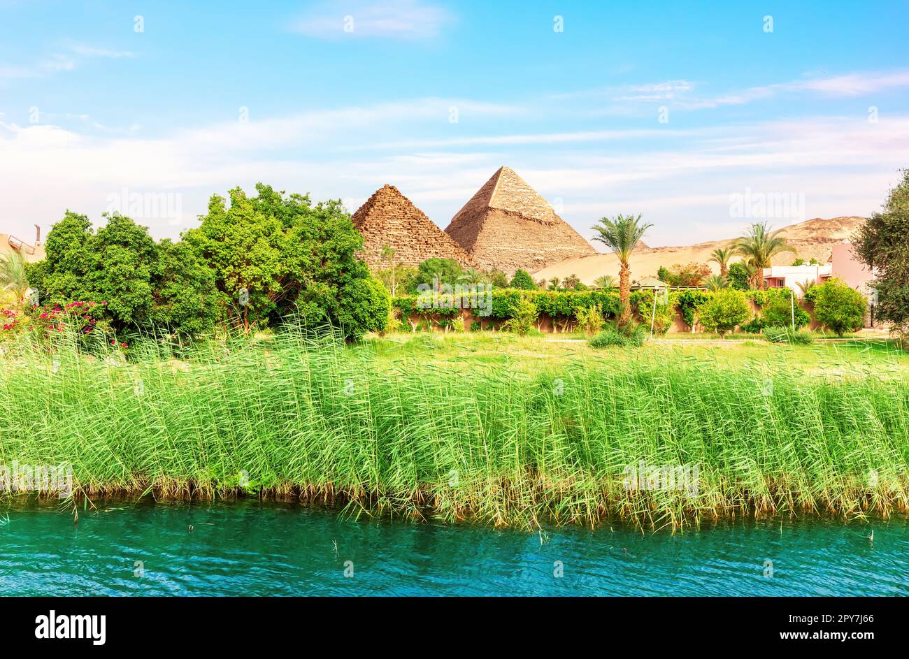 Paysage d'Assouan dans le Nil sur le chemin des pyramides, Egypte Banque D'Images