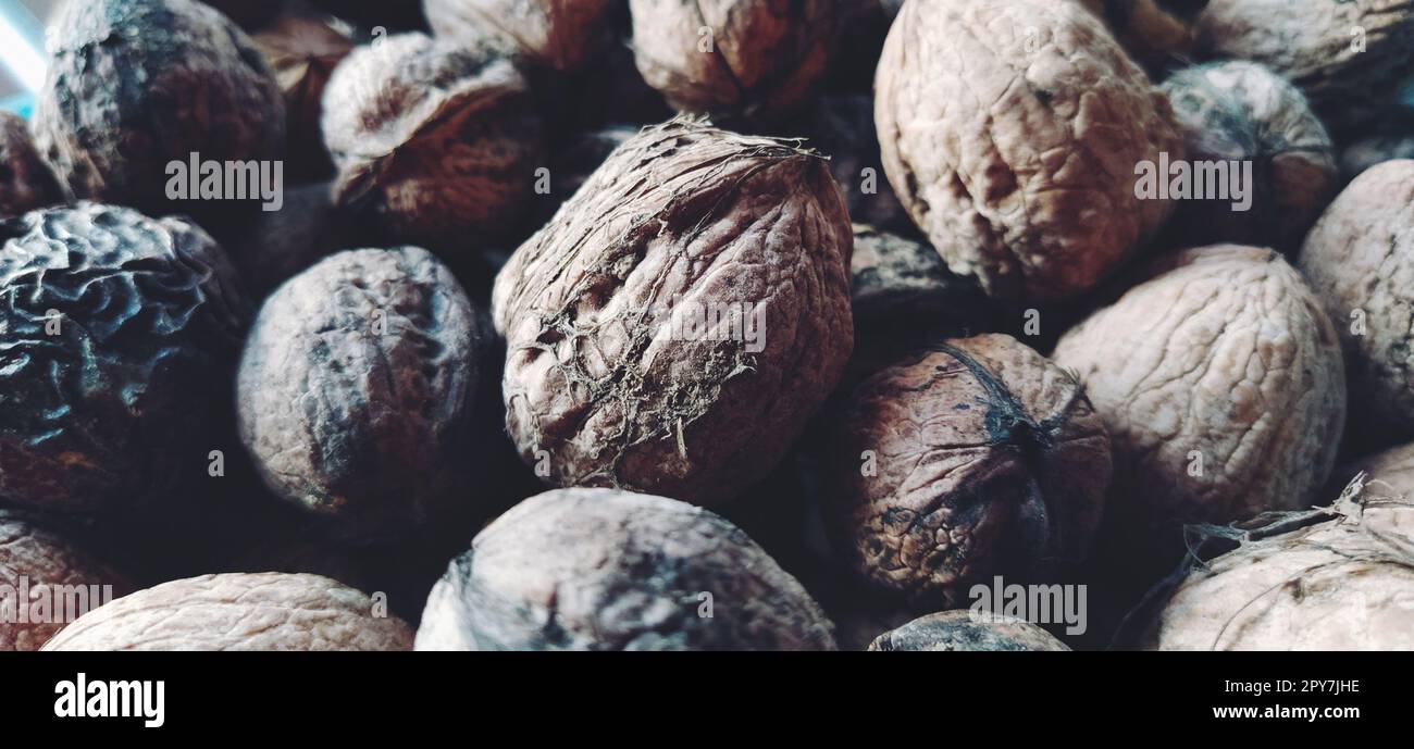 Gros plan sur les noix. Récolte de noix. Fruits de noyer, gros drupes simples arrondies. Une alimentation saine qui comprend des glycérides d'acides linoléique, oléique, stéarique, palmitique et linolénique. Bannière Banque D'Images