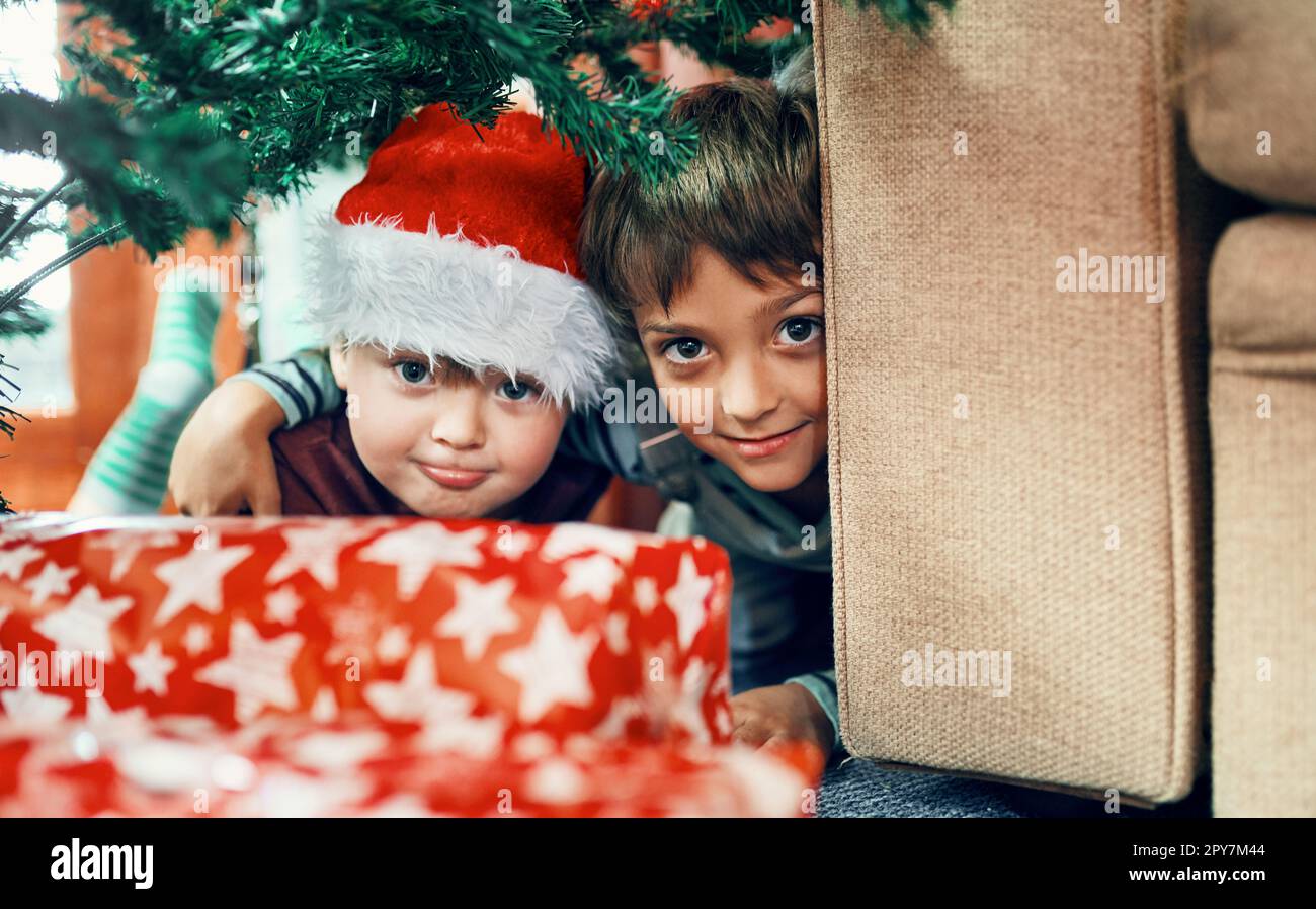 Nous avons campé la nuit pour y arriver. Portrait de deux adorables frères jouant sous l'arbre de Noël à la maison. Banque D'Images