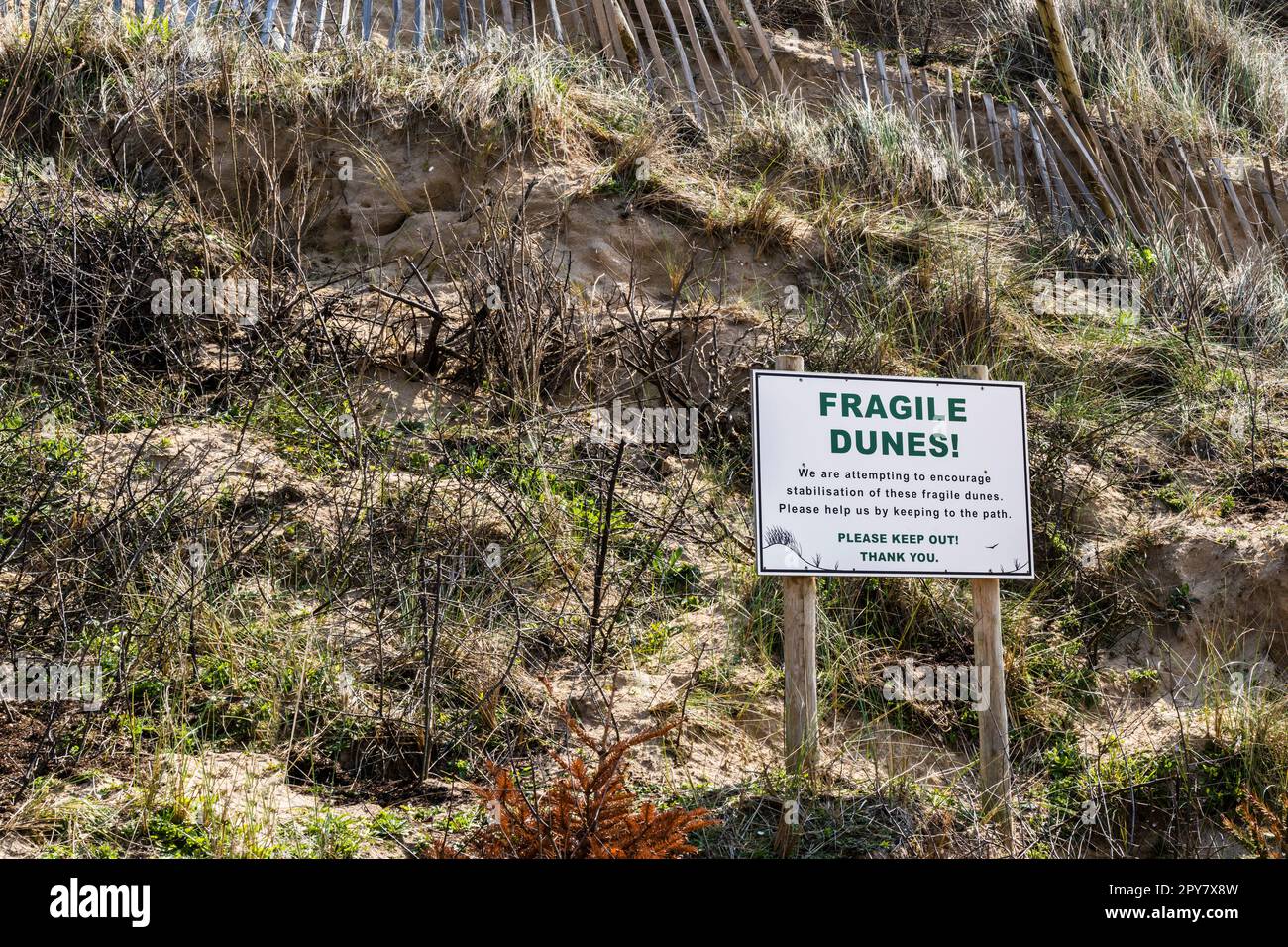 Un signe d'avertissement sur les dunes fragiles à Mawgan Porth, dans les Cornouailles, au Royaume-Uni. Banque D'Images