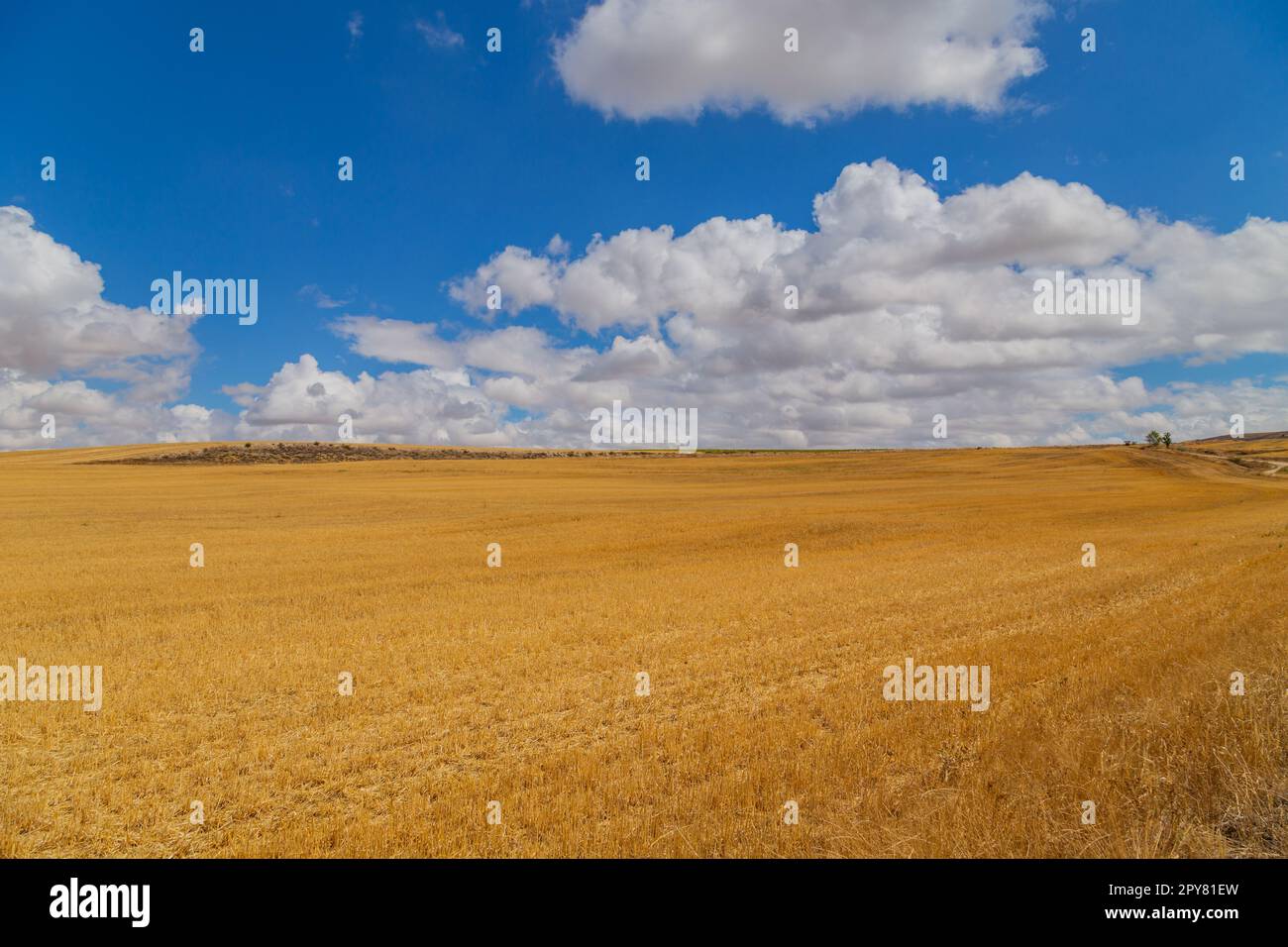 Vue d'un champ de culture en Espagne Banque D'Images