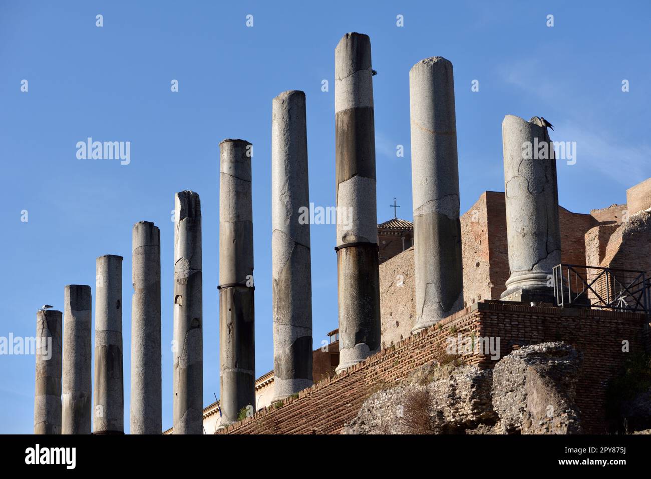 Italie, Rome, Forum romain, temple de Vénus et Rome Banque D'Images