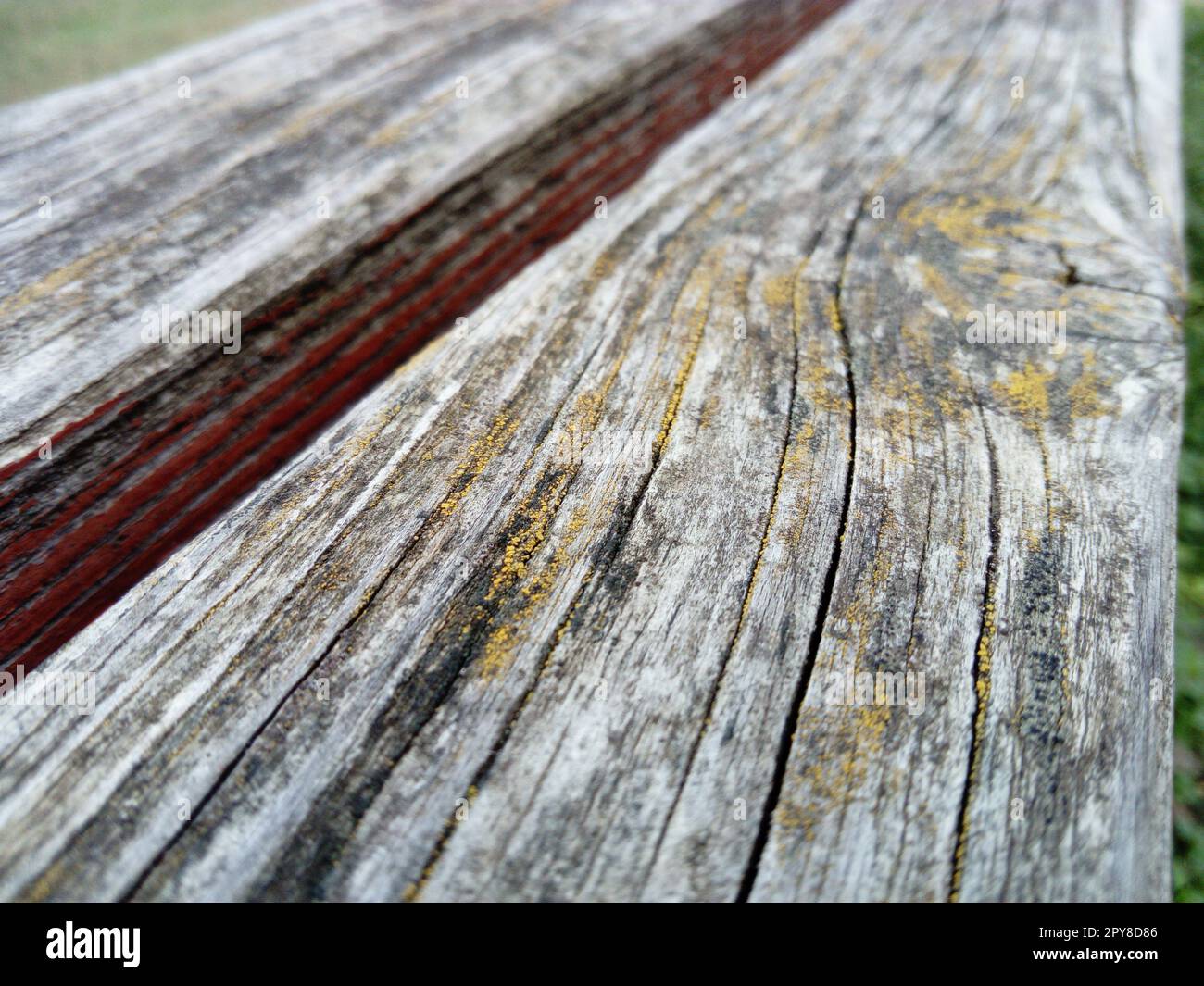 Texture du bois. Un banc en bois. Mousse et lichens à la surface. Fissures sur la bûche. Le produit des planches. Humidité sur le bois Banque D'Images