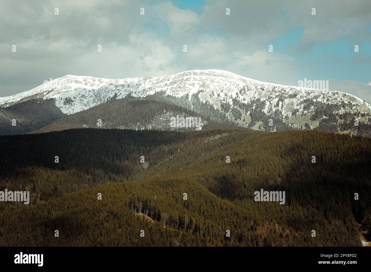 Velyka Syvulya montagne avec bois paysage photo Banque D'Images