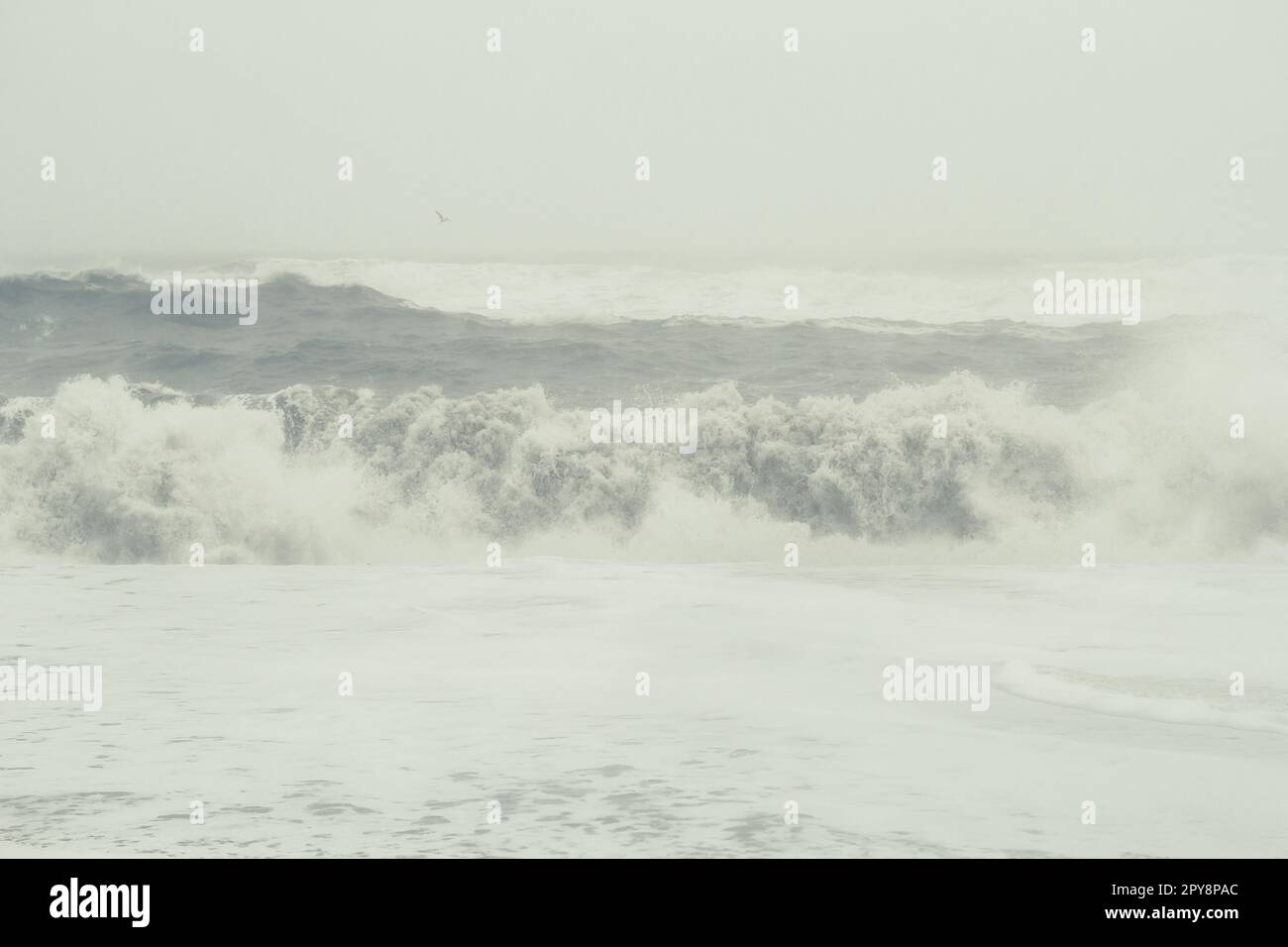 Vagues de mousse sur la photo de paysage de tempête Banque D'Images
