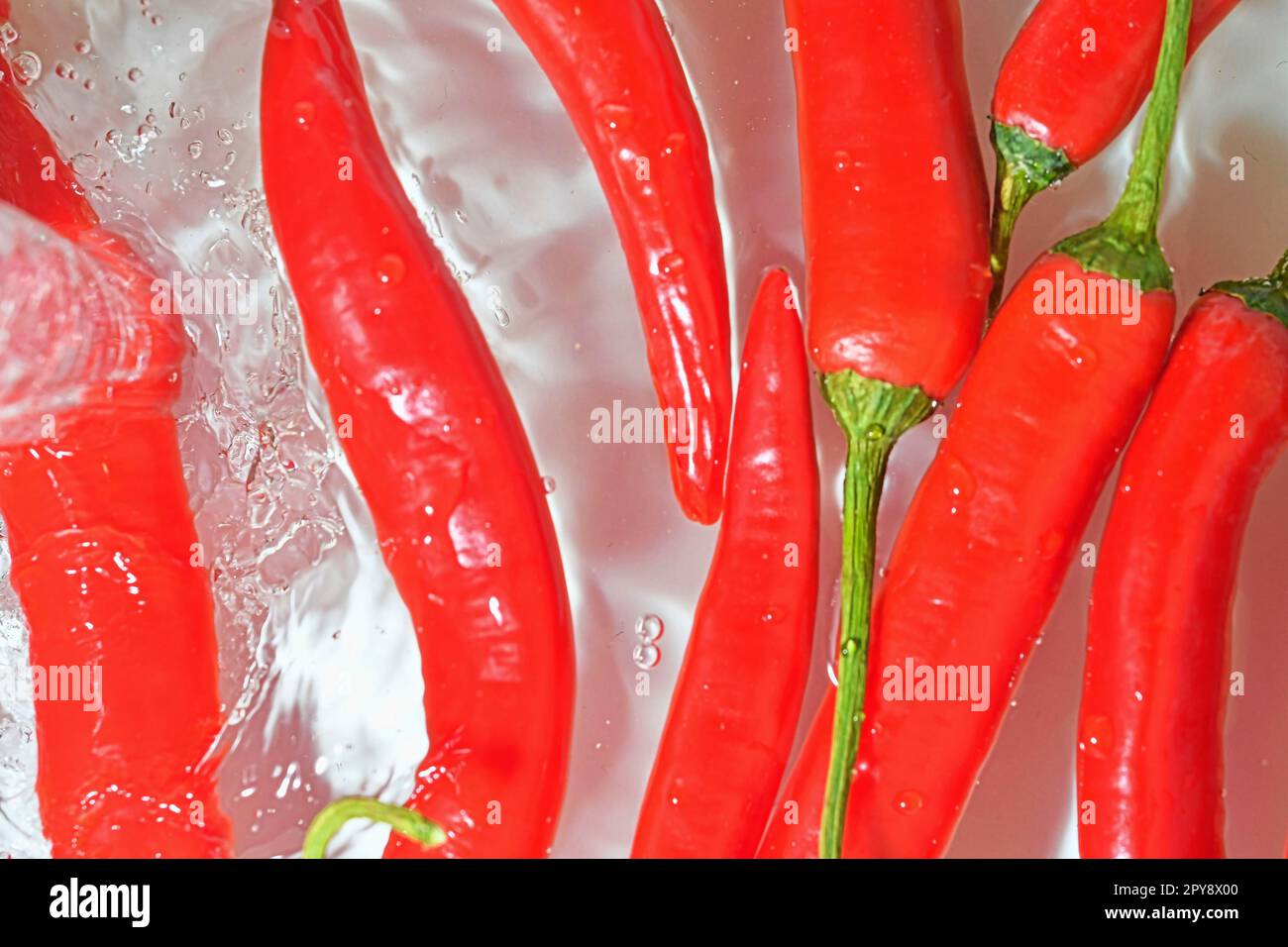 Gros plan des piments rouges sur fond blanc. Piments dans de l'eau pétillante sur fond blanc, gros plan. Image horizontale Banque D'Images
