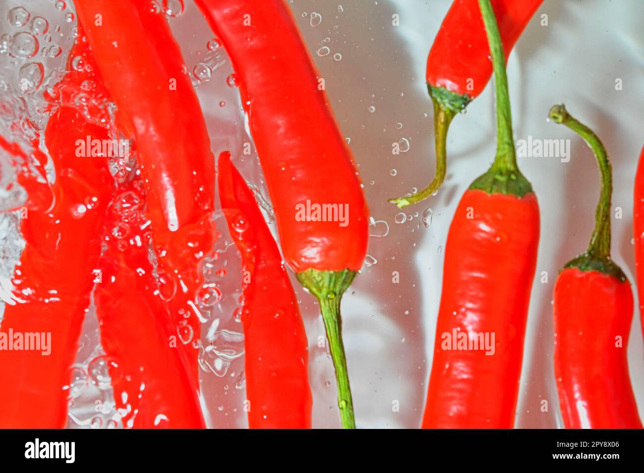 Gros plan des piments rouges sur fond blanc. Piments dans de l'eau pétillante sur fond blanc, gros plan. Image horizontale Banque D'Images