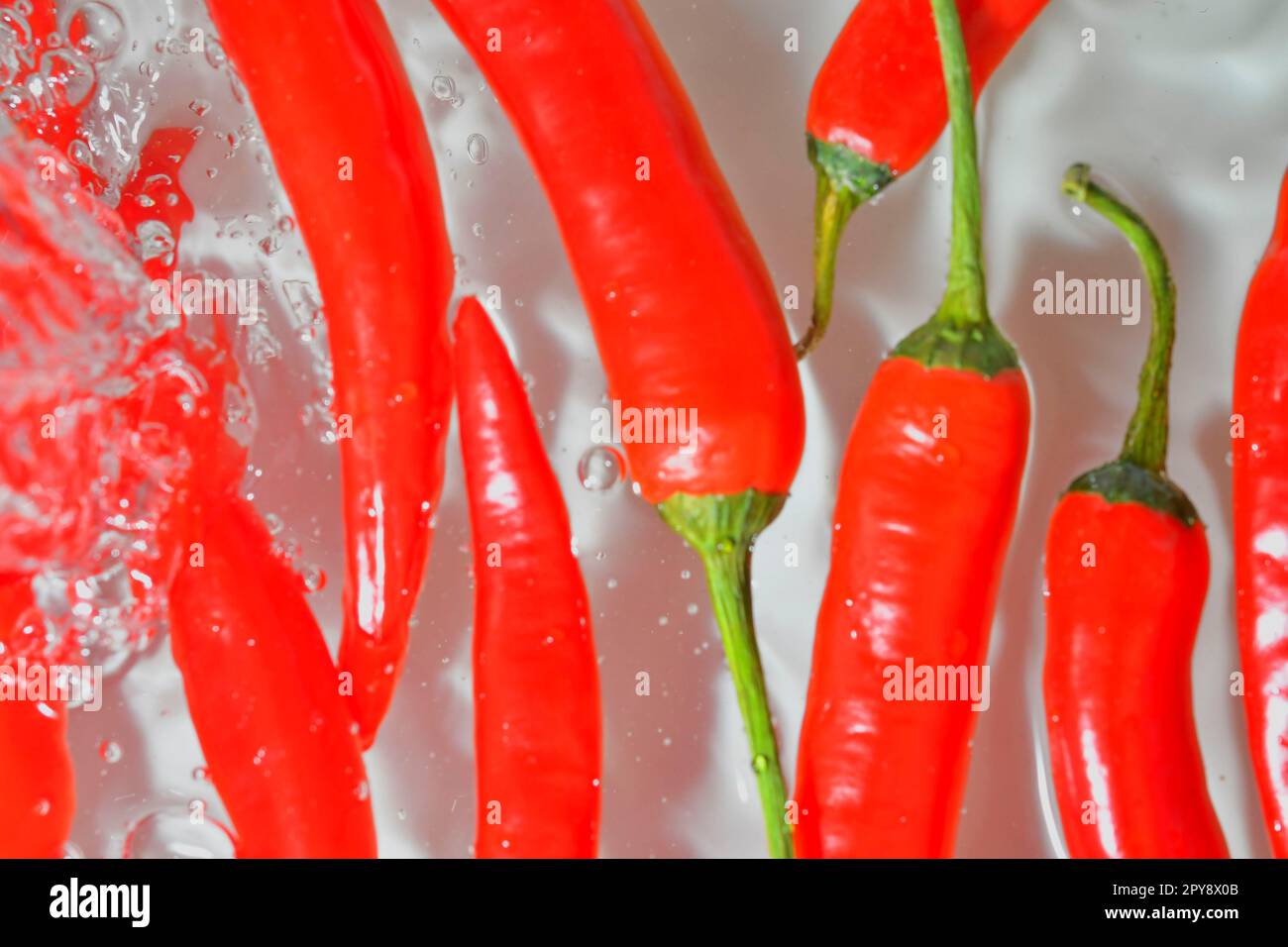 Gros plan de tranches de piment fraîches sur fond blanc. Piments rouges dans de l'eau pétillante sur fond blanc, gros plan. Image horizontale Banque D'Images