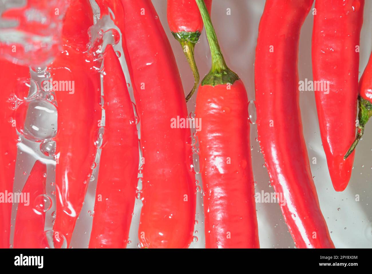 Gros plan des piments rouges sur fond blanc. Piments dans de l'eau pétillante sur fond blanc, gros plan. Image horizontale Banque D'Images