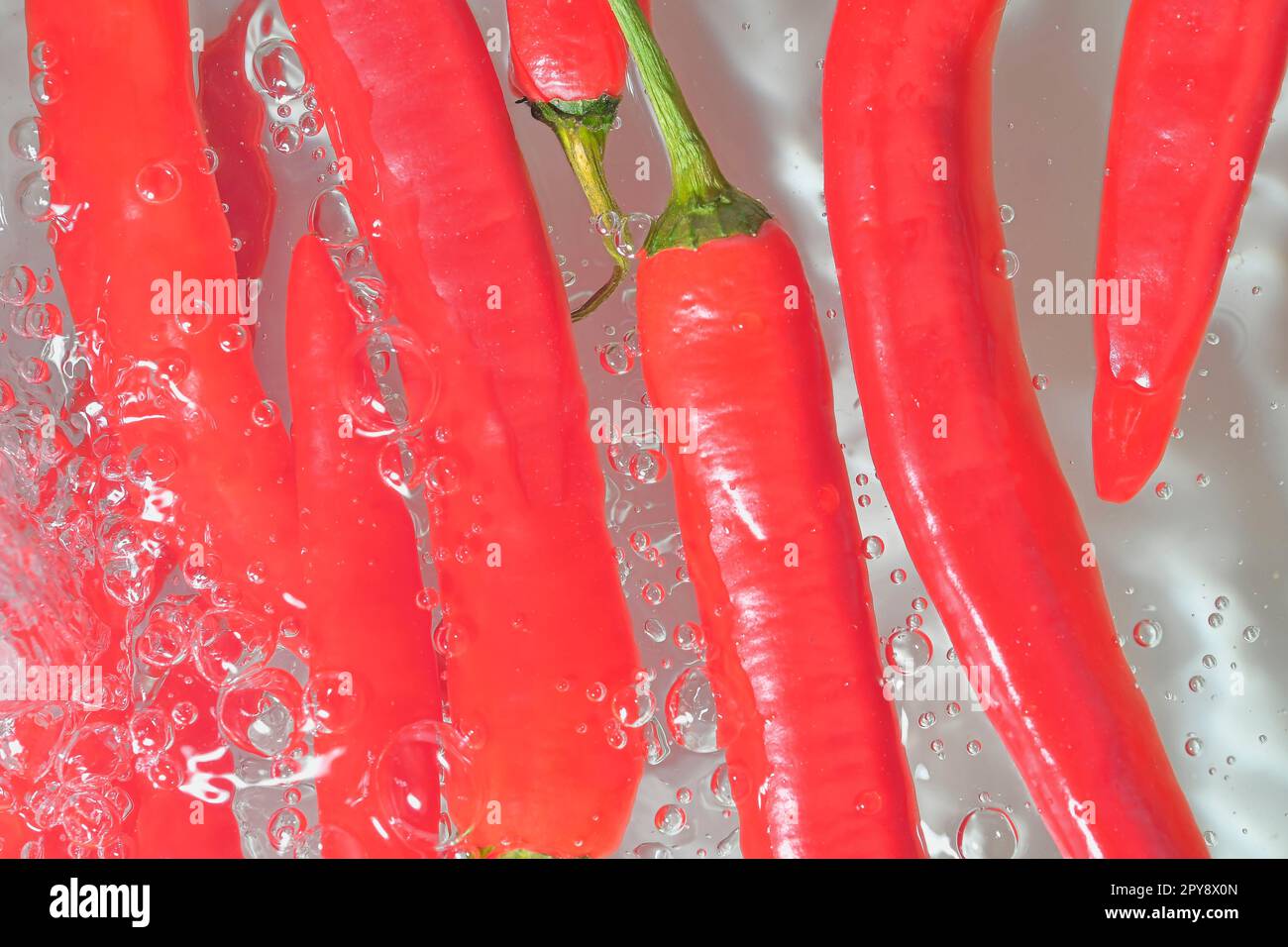 Vue rapprochée des piments rouges sur fond d'eau. Texture de boisson végétale rafraîchissante avec des bulles macro sur le mur blanc. Conception plate. Image horizontale. Éclaboussures de liquide et piments rouges Banque D'Images