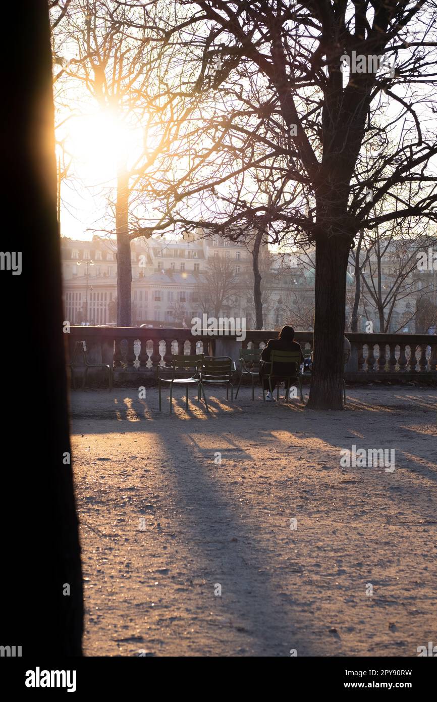 Photo d'une personne assise dans le jardin des Tuileries à Paris, en France, et profitant du soleil en hiver Banque D'Images