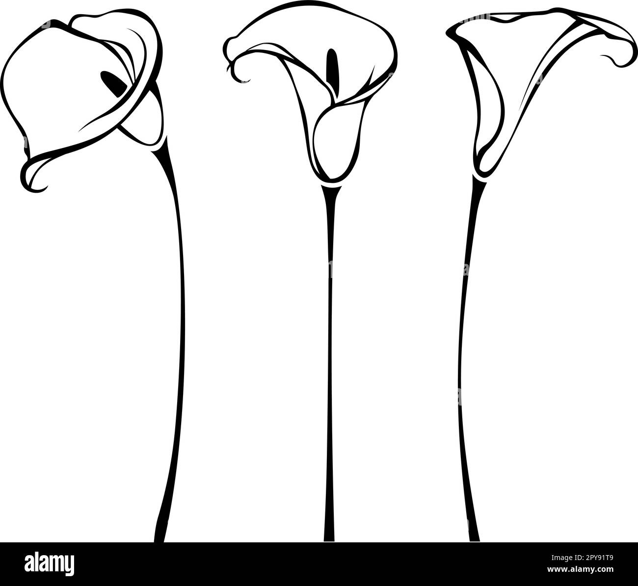 Fleurs de nénuphars. Illustration en dessin au trait des calas isolés sur un fond blanc. Ensemble d'illustrations vectorielles de contour noir et blanc Illustration de Vecteur