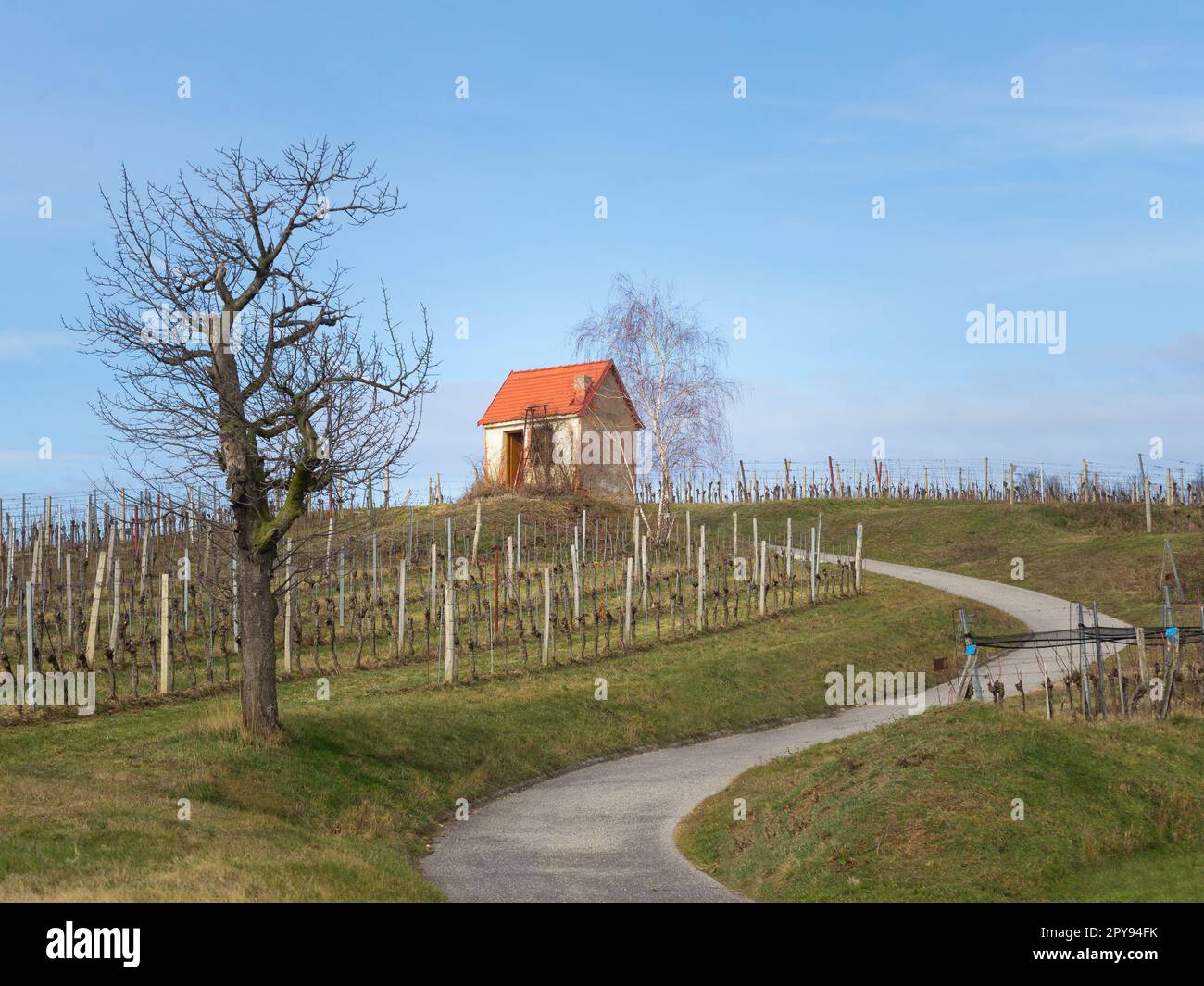 Petite cabane dans un vignoble dans le centre du burgenland autriche Banque D'Images