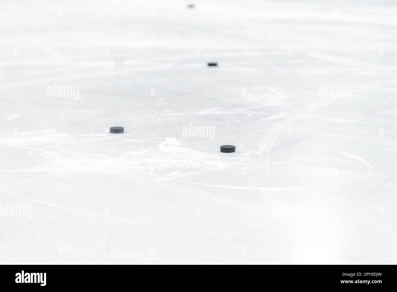 palet de hockey sur la glace du stade d'hiver Banque D'Images