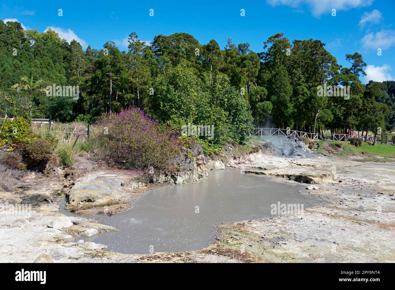 Caldeiras au lac de Furnas, sources de vapeur, Lagoa das, Furnas, Sao Miguel, Açores, Portugal Banque D'Images