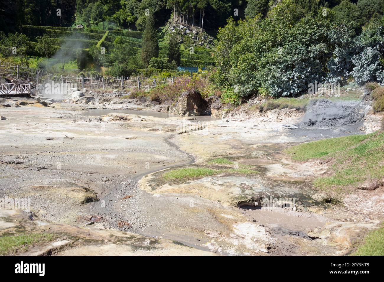 Caldeiras au lac de Furnas, sources de vapeur, Lagoa das, Furnas, Sao Miguel, Açores, Portugal Banque D'Images