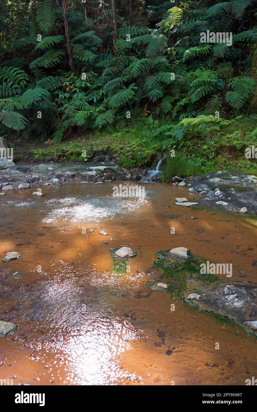 Source chaude (Caldeira) Velha, Sao Miguel, Açores, Portugal Banque D'Images