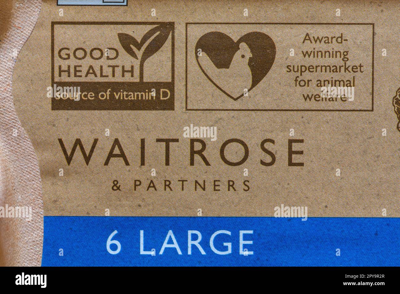 Supermarché primé pour le bien-être des animaux et bonne santé source de vitamine D - détail sur carton de Waitrose 6 grands oeufs de gamme libre Banque D'Images